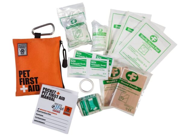 “Pocket” First Aid Kit