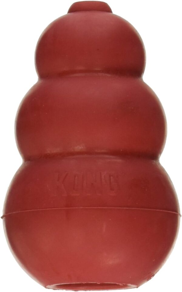 KONG - Dog - Small