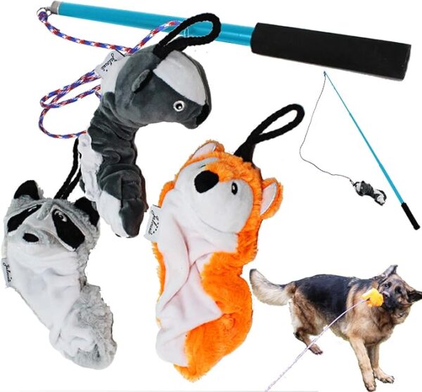 Collapsible Dog Flirt Pole