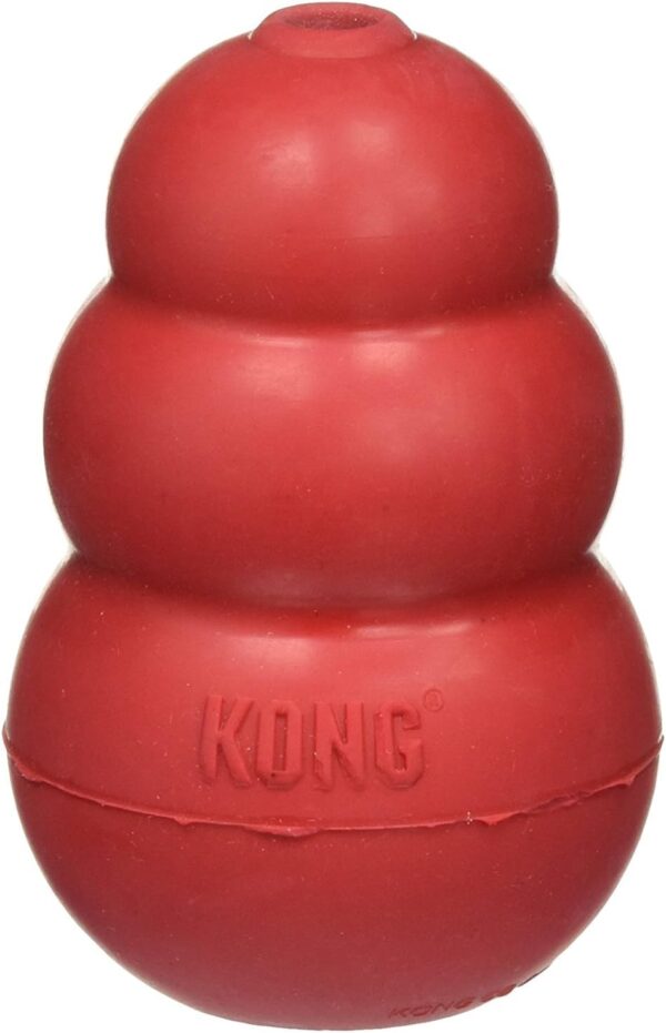 KONG - Dog - Medium